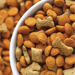 Dry dog food in a white bowl